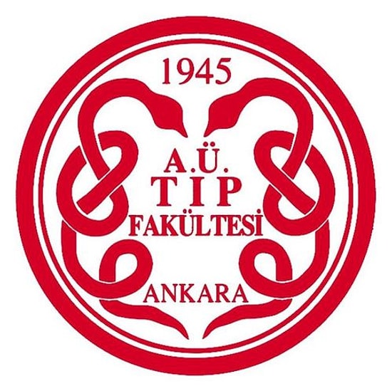 25 Maddede AÜTF - Dönem 1