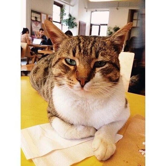 Boğaziçi'ni Farklı Kılan 15 Neden