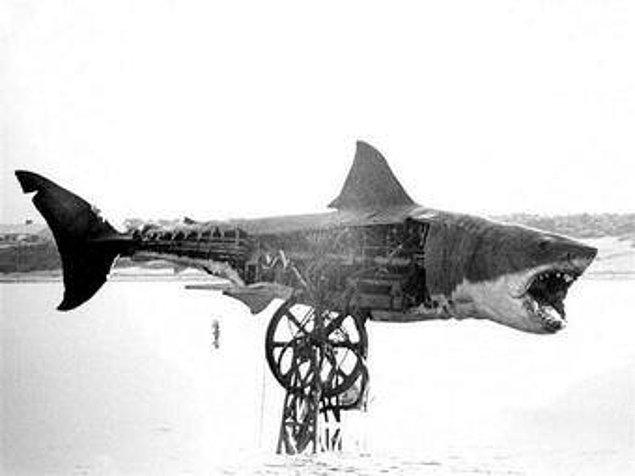 29. Jaws filminin çekimleri, 1975