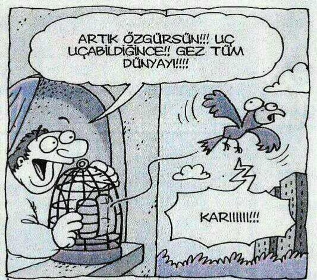 9. ÖZGÜR KUŞ