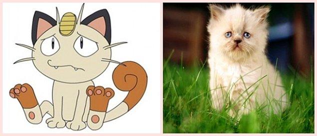5. Meowth - Cat