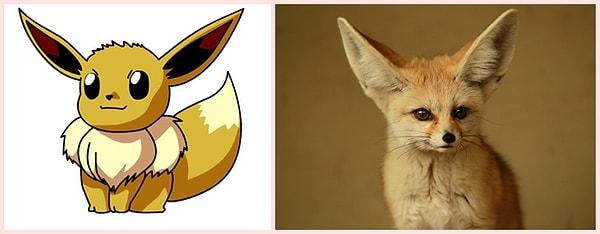 22. Eevee - Fennec Fox (Çöl Tilkisi)