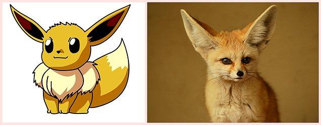 14. Eevee - Fennec Fox
