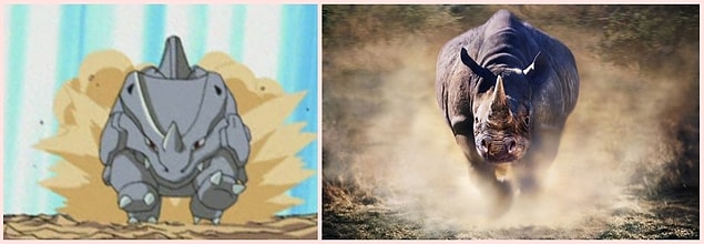 16. Rhyhorn - Rhino
