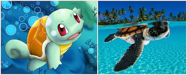 18. Squirtle - Sea Turtle