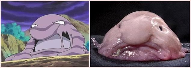22. Muk - Blobfish