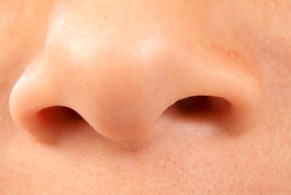 11. Sevimli burnumuz 50.000'e yakın kokuyu ayırt edebilir