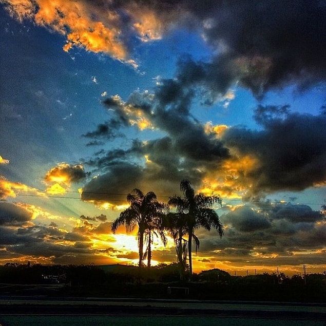 44. Florida, ABD