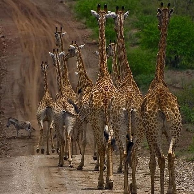 55. Afrika'da iş çıkış saati