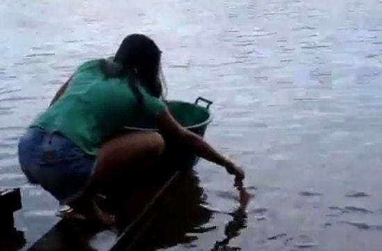 Pirhana Yakalamanın Kolay Yolu