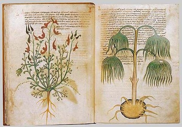 8. 100 Yıldır Sırrı Çözülemeyen Kitap