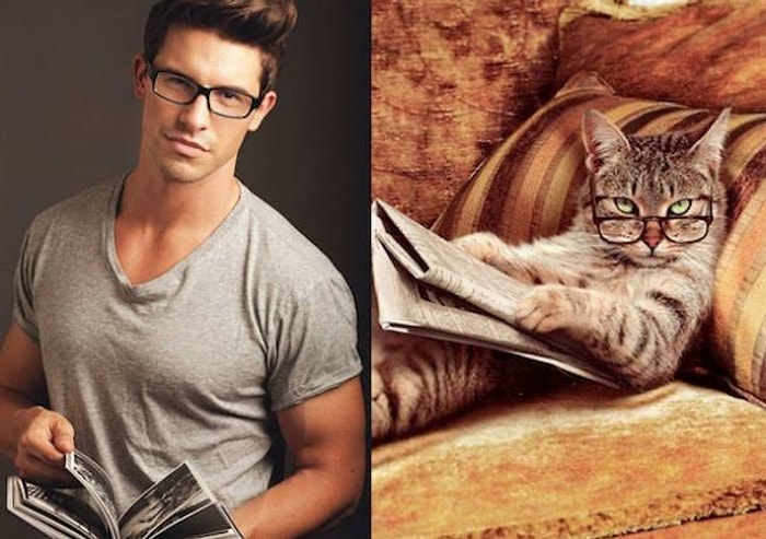 Erkekler ve Kedilerin Benzer Özellikleri