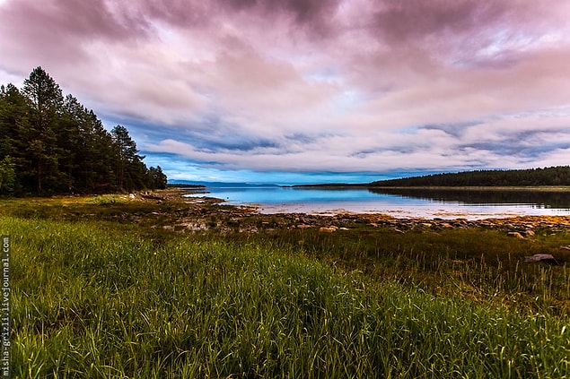 16. Apparently, there are beautiful, but uninhabited parts of Russia. Since it's not very far from their current land, they could move there very easily. Australia or New Zealand would also do.