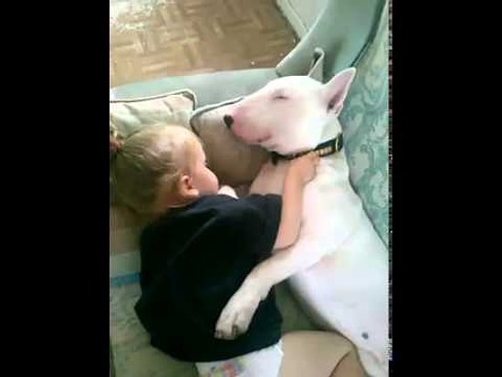 Küçük kız ile köpeğin aşkı