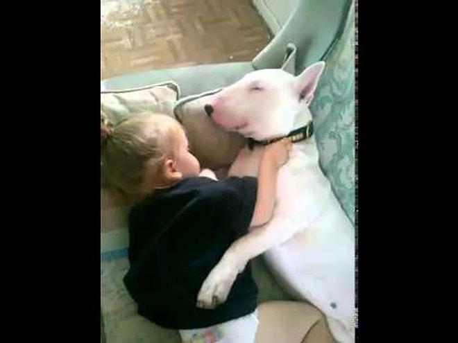 Küçük kız ile köpeğin aşkı
