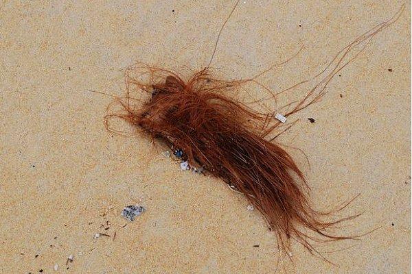 Gerçek hayatta plajdaki saçlar