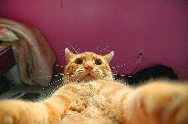 8. But first, let me take a selfie;