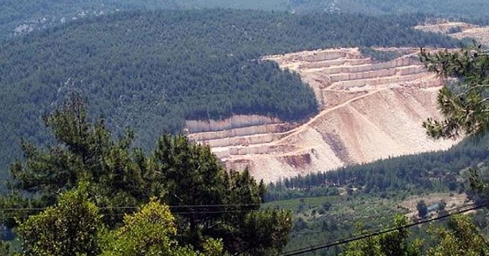 Yeşili Bitirip Keli Bıraktılar