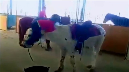 Ata Binmenin En Kolay Yolu