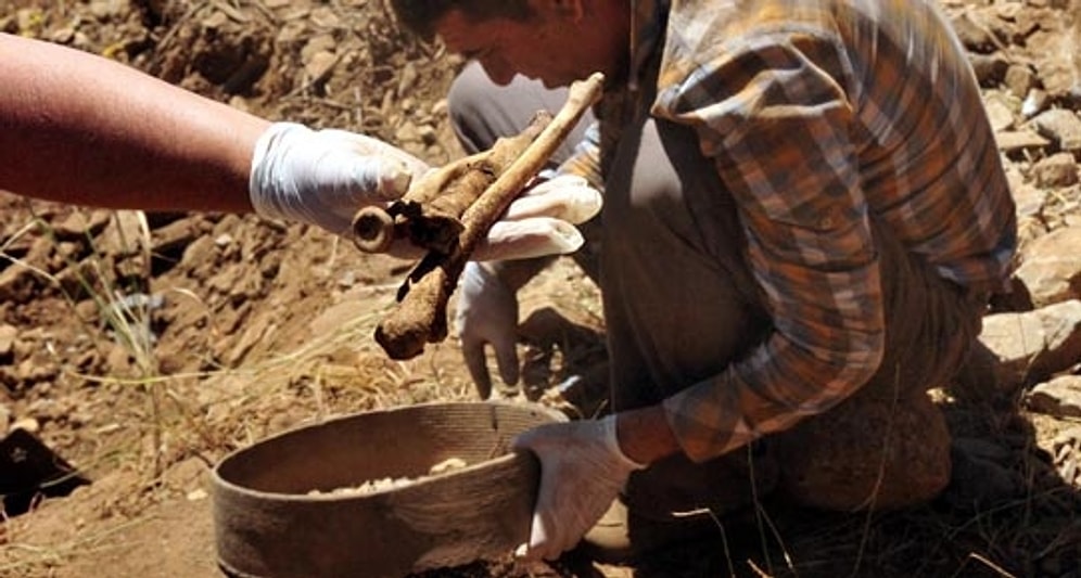 AİHM Kararıyla 26 PKK'lının Mezarı Açıldı