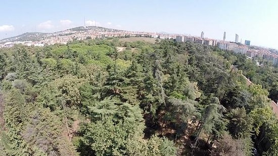 'Doğal Sit Alanındaki Kasra, Düğün Yapılabilsin Diye Mermer Döşendi!'