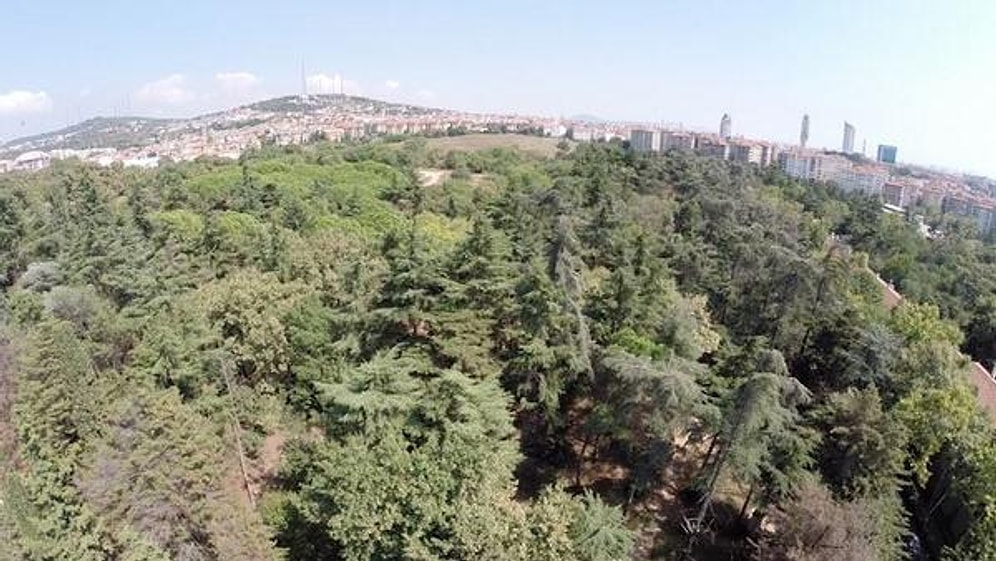 'Doğal Sit Alanındaki Kasra, Düğün Yapılabilsin Diye Mermer Döşendi!'
