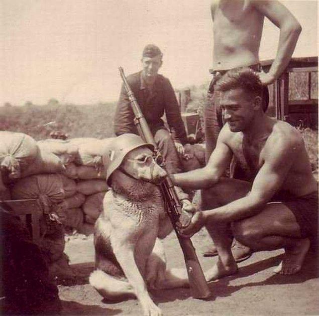 20. Köpeğe poz verdiren Alman askerler