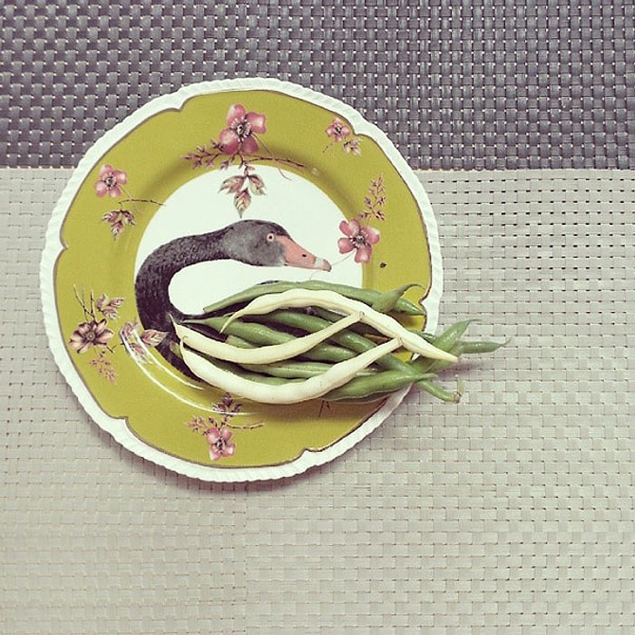 14 Fotoğrafla Gündelik Eşyaların Eğlenceli Yorumları