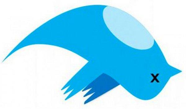 Twitter Yasağı ve Seçim Dönemi