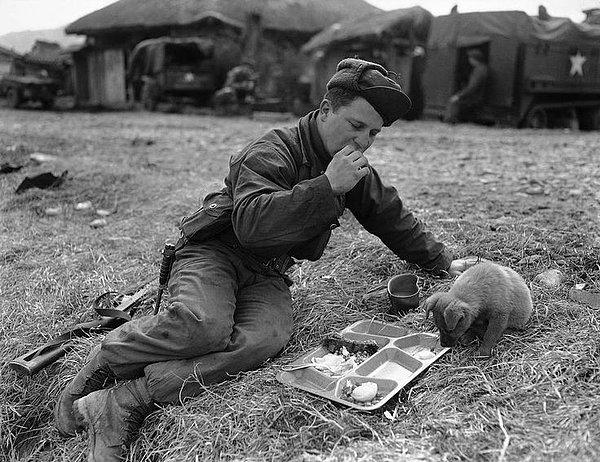 9. Kore Savaşı sırasında asker, kumanyasını yavru köpekle paylaşıyor
