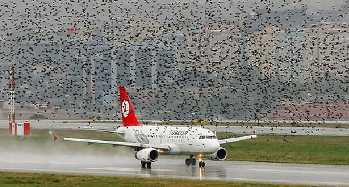 Yeni Havalimanı İçin Korkutan Senaryo