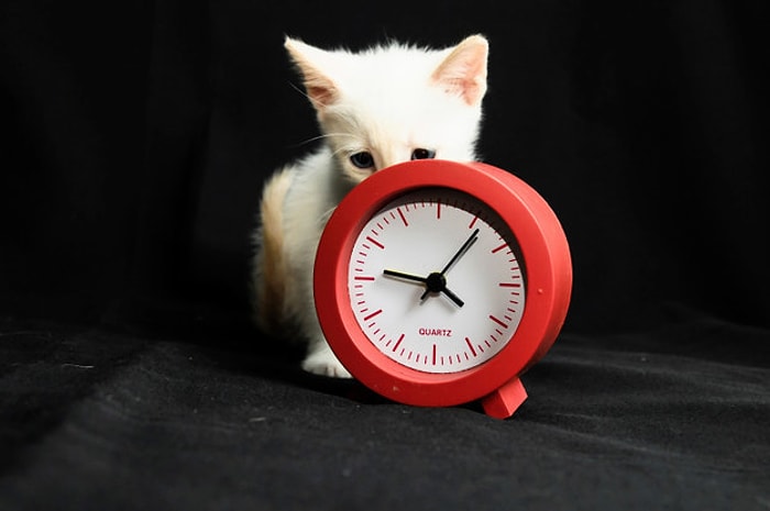 Sadece Uykucu Şirinlerin Aşina Olduğu 21 Durum