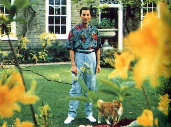 18. 24 Kasım 1991 - Freddie Mercury