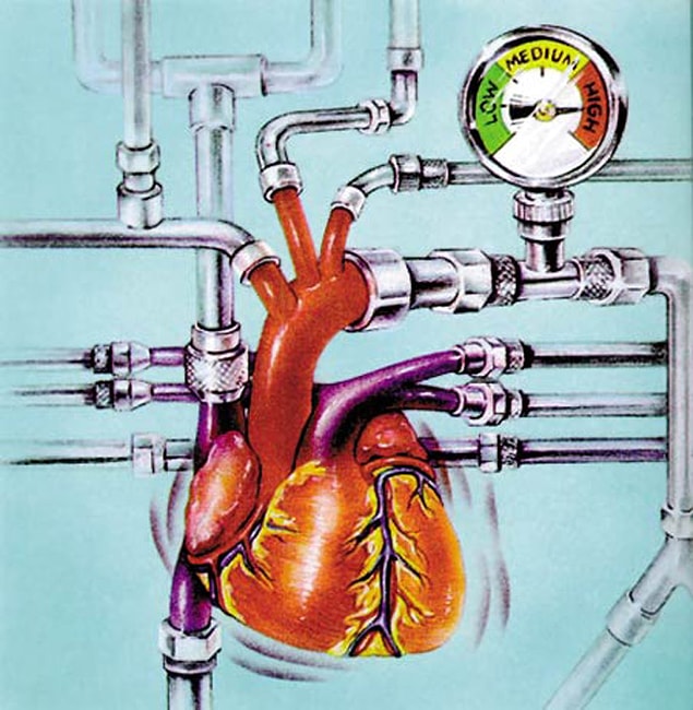 Kalbinizin atış hızını ayarlayan ise “pacemaker” adındaki iç saattir.