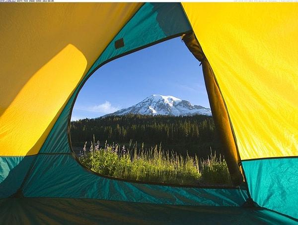 16. Mount Rainier Ulusal Parkı - Washington