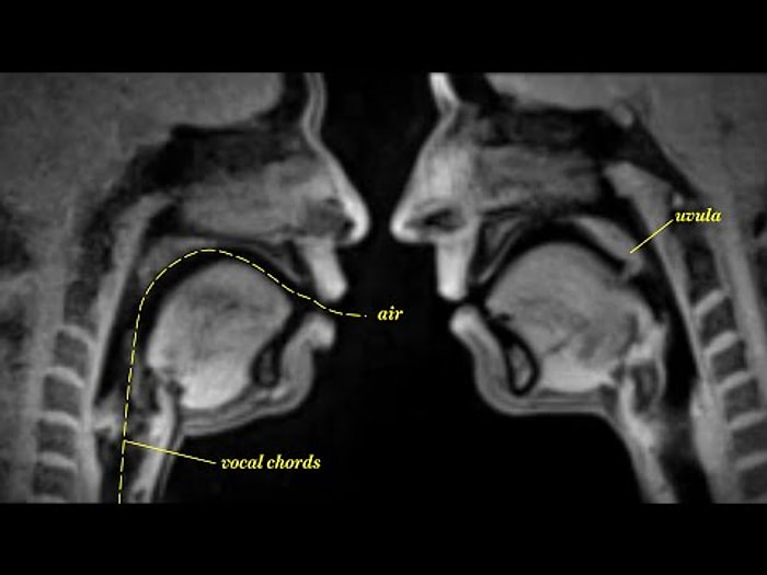 Seksin Vücudumuzda Yarattığı Etkilere MRI Tarayıcısından Bir Bakış