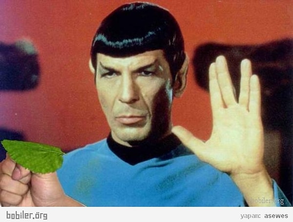 6. Взрывать листики деревьев, положив их на кулак.