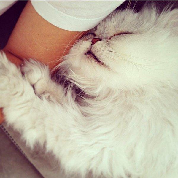 11. “Ooo kol, alıyorum bir dal” deyin ve sevdiğinizin kollarında uyuyun.