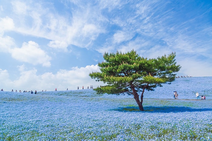 32 Göz Alıcı Fotoğraf ile 2014 National Geographic Fotoğraf Yarışması