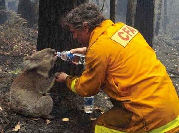 31. Yıllar içerisinde birçok yerde kullandığımız ve insanlık daha ölmemiş mesajı taşıyan bu fotoğraf da Avusturalya'da bir yangından sonra çekilmişti. (2009)