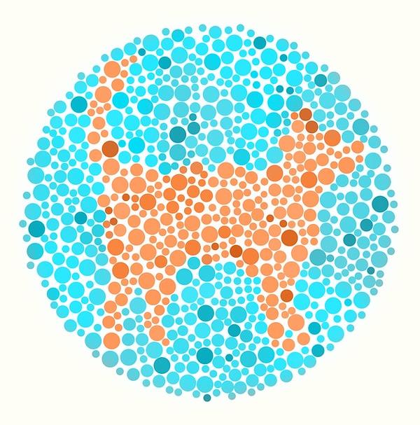 5. Hangi hayvanı görüyorsun?
