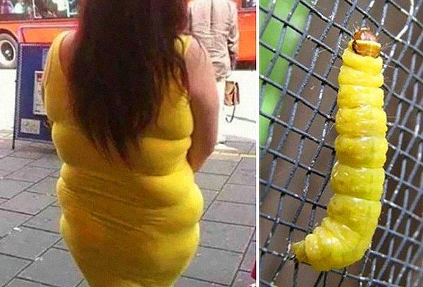 3. Sizin de tırtıllara benzeyen elbiseleriniz var mı? Böyle sarı sarı, tombik tombik?