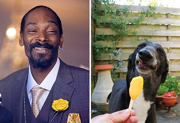 11. Snoop Dog ismini Türkçe'ye çevirirsek: Meraklı Köpek