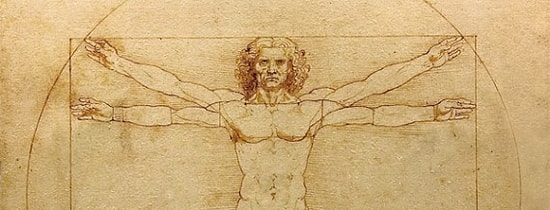 İnsanda Körelmiş 10 Organ Hakkında Bilmedikleriniz