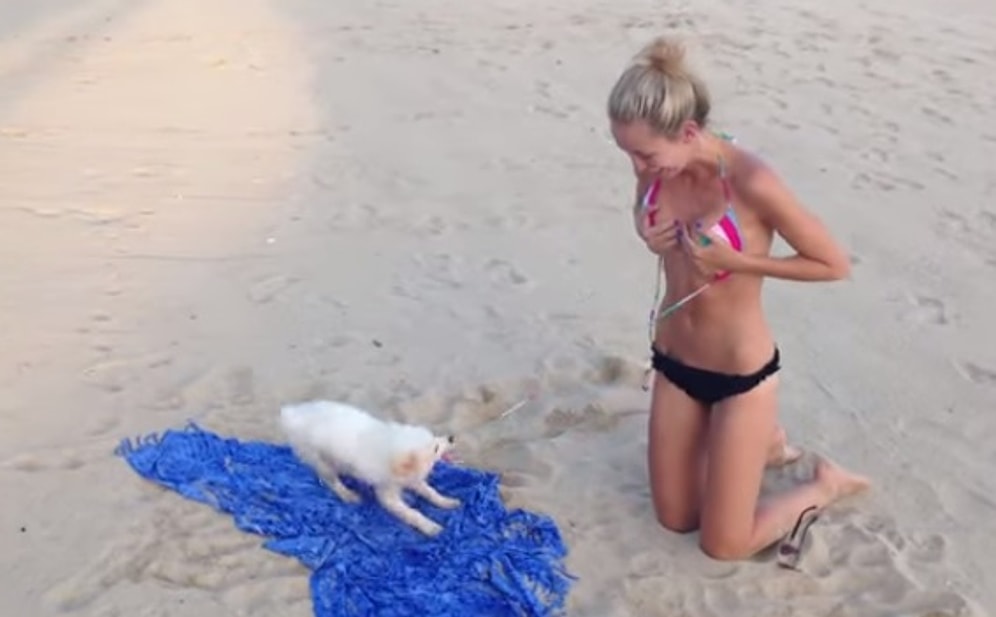 Kızın Bikinisini Açmaya Çalışan Çapkın Köpek