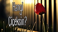 Hangi Çiçek Seni Anlatıyor?