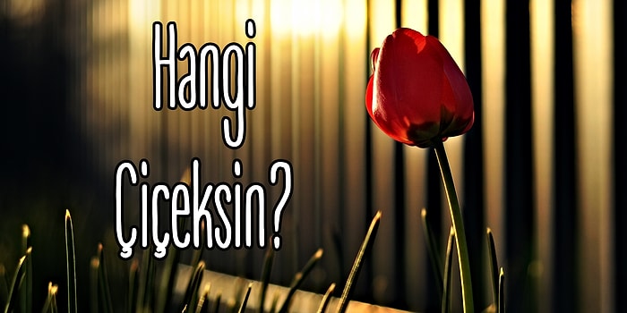 Hangi Çiçek Seni Anlatıyor?