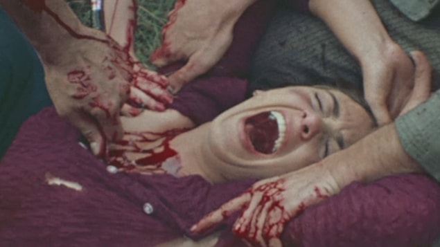 16. Kanlı Tecavüz / The Last House on the Left (1972)