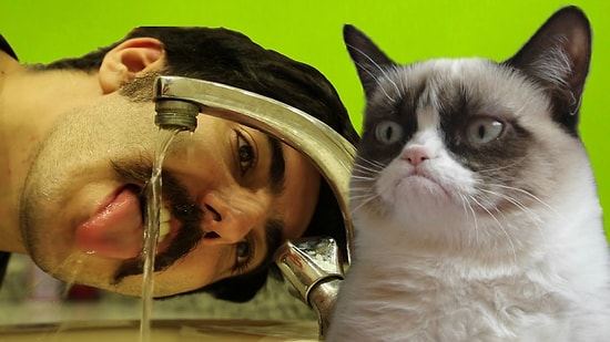 Gerçek Hayatta Kedi Gibi Davransaydık