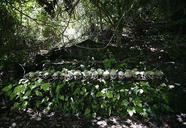 7. Köy mezarlığında özenle yerleştirilmiş kemikler, Trunyan yakınlarındaki Kuban, Bali, Endonezya, 21 Mart 2007. Bali insanlarının aksine Trunyan halkı ölülerini gömmüyor ya da yakmıyorlar, onlar aralarından biri öldüğünde onu bambudan yaptıkları kafeslere koyup çürümeye bırakıyorlar.